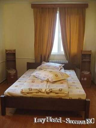 Хостелы Lary Hostel Сучава Двухместный номер с 1 кроватью и собственной ванной комнатой-12